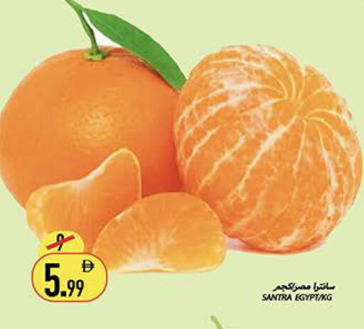 from Egypt available at Rawabi Market Ajman in UAE - Sharjah / Ajman