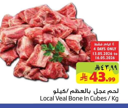 available at Layan Hyper in KSA, Saudi Arabia, Saudi - Dammam