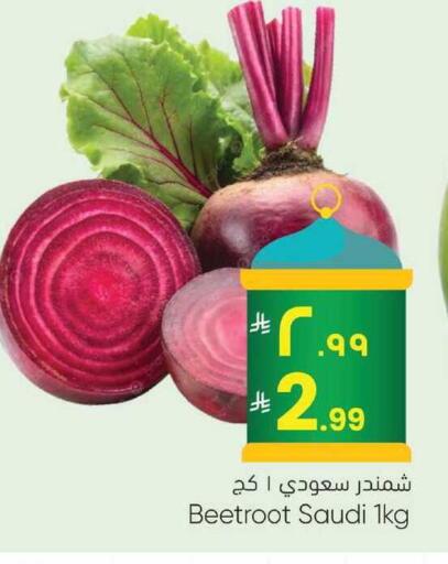 Beetroot from Saudi Arabia available at City Flower in KSA, Saudi Arabia, Saudi - Sakaka