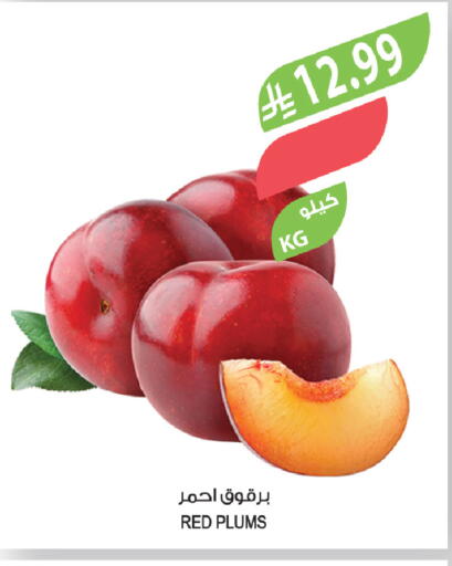 Plums available at المزرعة in مملكة العربية السعودية, السعودية, سعودية - سكاكا