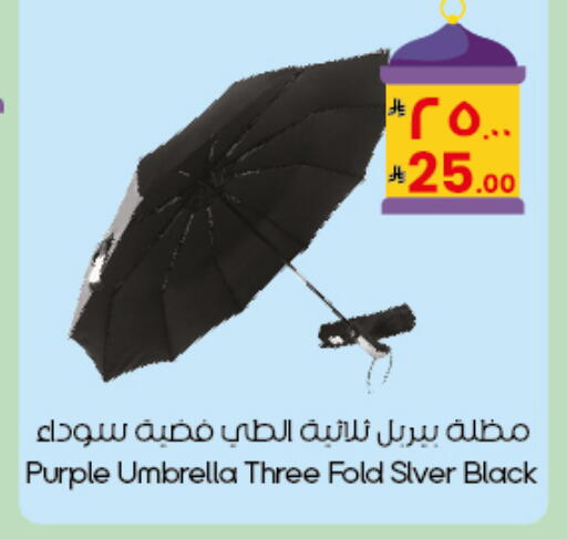 available at City Flower in KSA, Saudi Arabia, Saudi - Al Duwadimi