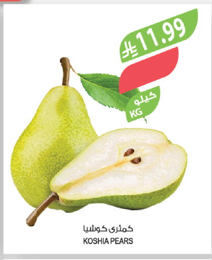 available at المزرعة in مملكة العربية السعودية, السعودية, سعودية - ينبع