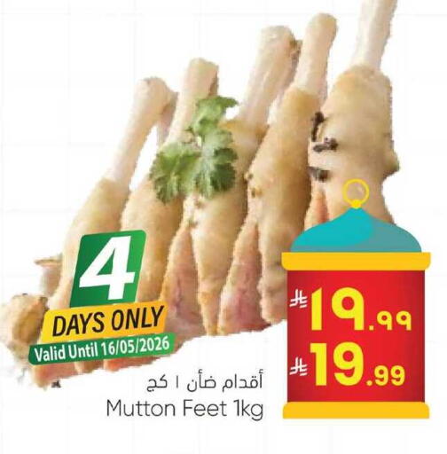 available at City Flower in KSA, Saudi Arabia, Saudi - Jubail