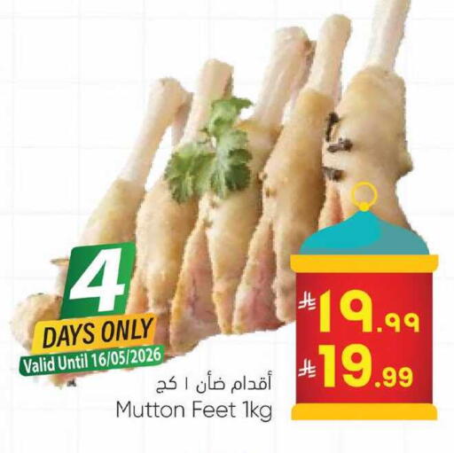 available at City Flower in KSA, Saudi Arabia, Saudi - Sakaka
