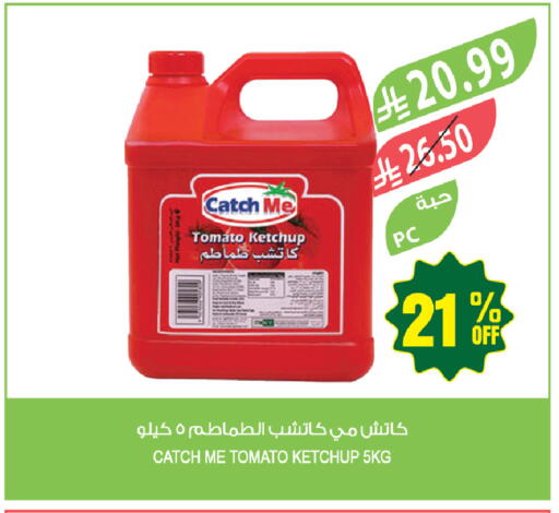 Tomato available at المزرعة in مملكة العربية السعودية, السعودية, سعودية - ينبع