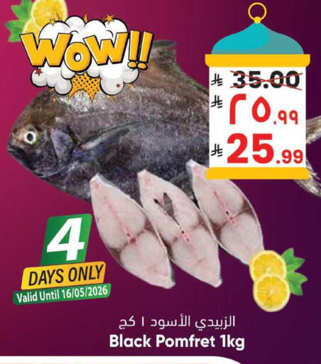 available at ستي فلاور in مملكة العربية السعودية, السعودية, سعودية - حائل‎