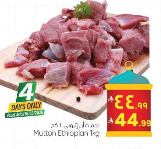 available at ستي فلاور in مملكة العربية السعودية, السعودية, سعودية - الرياض