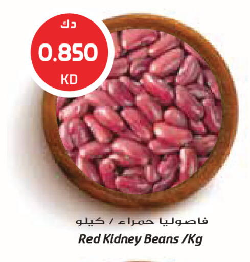 available at جراند كوستو in الكويت - مدينة الكويت
