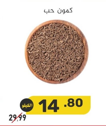 available at بن عفيف in مملكة العربية السعودية, السعودية, سعودية - المنطقة الشرقية