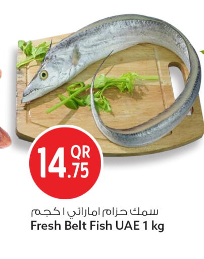 available at Safari Hypermarket in Qatar - Al Rayyan