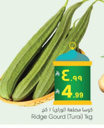 available at City Flower in KSA, Saudi Arabia, Saudi - Jubail