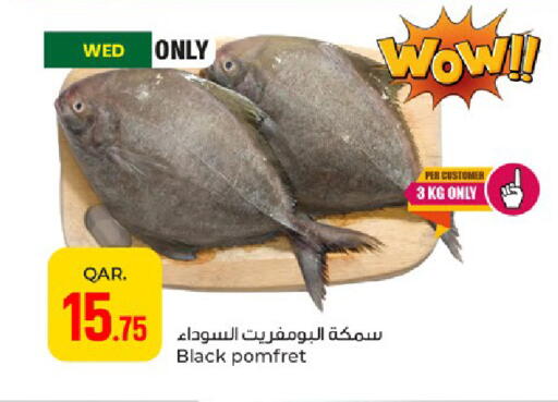 available at باريس هايبرماركت in قطر - الريان