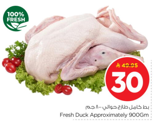 available at نستو in مملكة العربية السعودية, السعودية, سعودية - الرياض