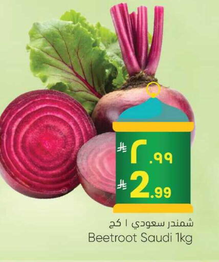 Beetroot from Saudi Arabia available at City Flower in KSA, Saudi Arabia, Saudi - Najran