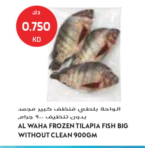 available at جراند كوستو in الكويت - مدينة الكويت