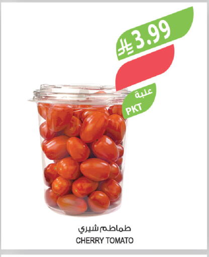 Cherry Cherry tomato available at المزرعة in مملكة العربية السعودية, السعودية, سعودية - المنطقة الشرقية