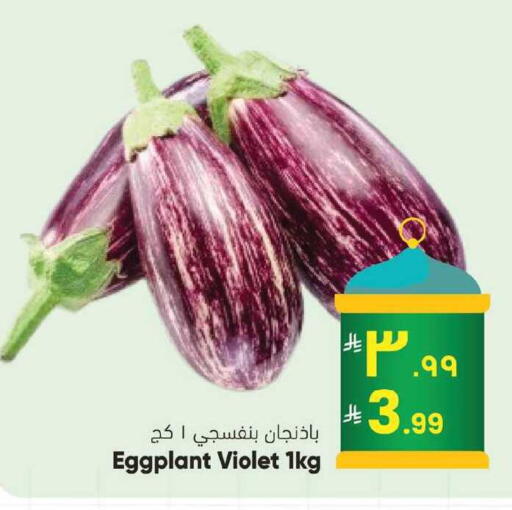 Eggplant available at ستي فلاور in مملكة العربية السعودية, السعودية, سعودية - حائل‎