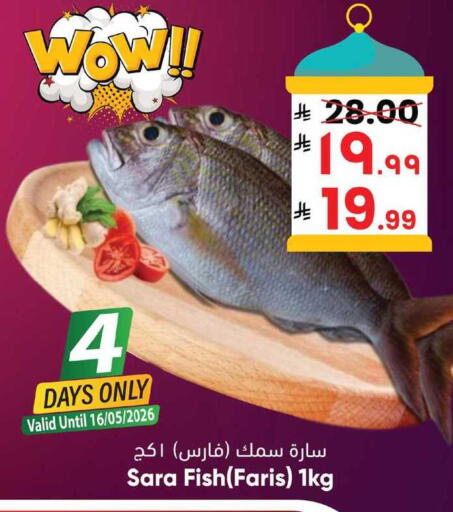 available at ستي فلاور in مملكة العربية السعودية, السعودية, سعودية - نجران