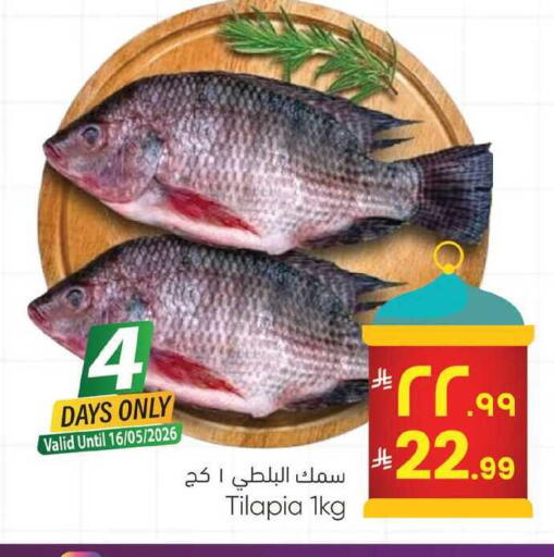 available at ستي فلاور in مملكة العربية السعودية, السعودية, سعودية - حائل‎