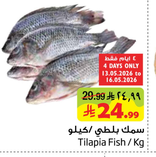 available at Layan Hyper in KSA, Saudi Arabia, Saudi - Dammam