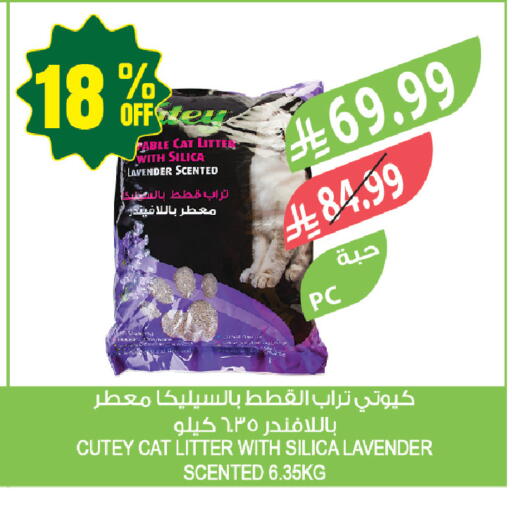 available at المزرعة in مملكة العربية السعودية, السعودية, سعودية - جازان