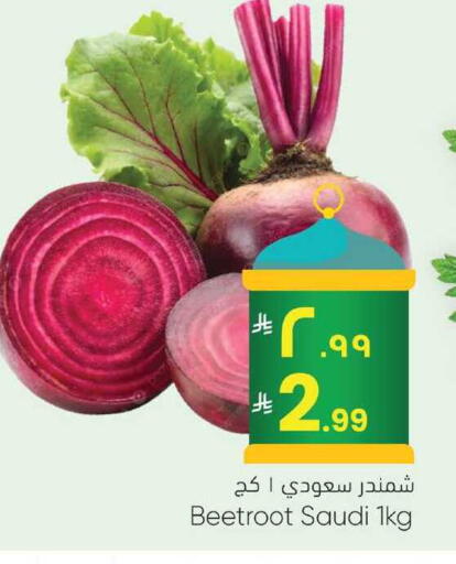 Beetroot from Saudi Arabia available at City Flower in KSA, Saudi Arabia, Saudi - Jubail