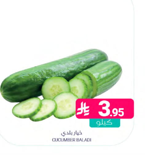 Cucumber available at اسواق المنتزه in مملكة العربية السعودية, السعودية, سعودية - المنطقة الشرقية
