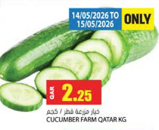 Cucumber from Qatar available at جراند هايبرماركت in قطر - الدوحة