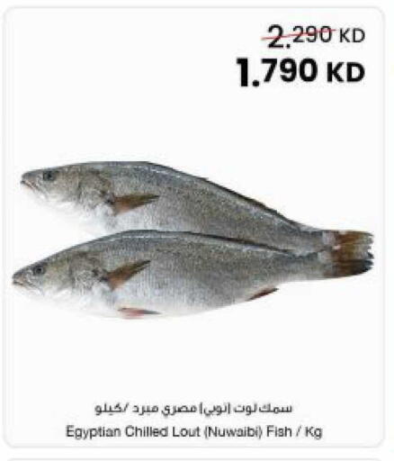 available at مركز سلطان in الكويت - مدينة الكويت