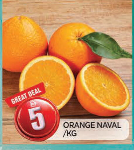 Orange available at المدينة in الإمارات العربية المتحدة , الامارات - الشارقة / عجمان