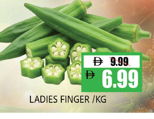 available at ليبتس هايبرماركت in الإمارات العربية المتحدة , الامارات - ٱلْعَيْن‎
