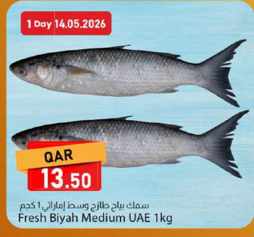available at دانا ماركت in قطر - الشحانية