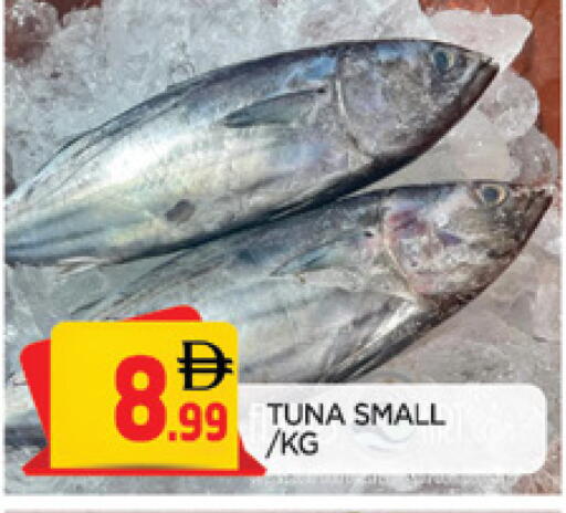 available at المدينة in الإمارات العربية المتحدة , الامارات - الشارقة / عجمان
