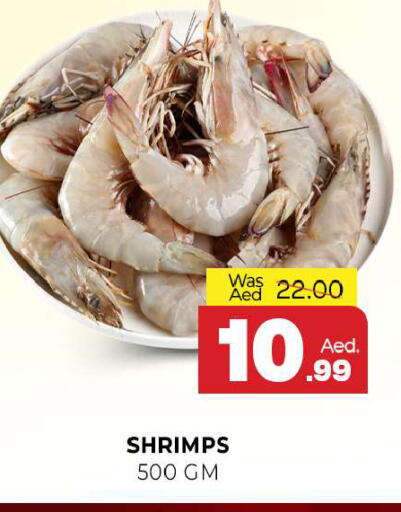 available at المدينة in الإمارات العربية المتحدة , الامارات - الشارقة / عجمان