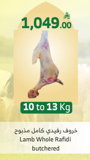 available at الراية in مملكة العربية السعودية, السعودية, سعودية - الطائف