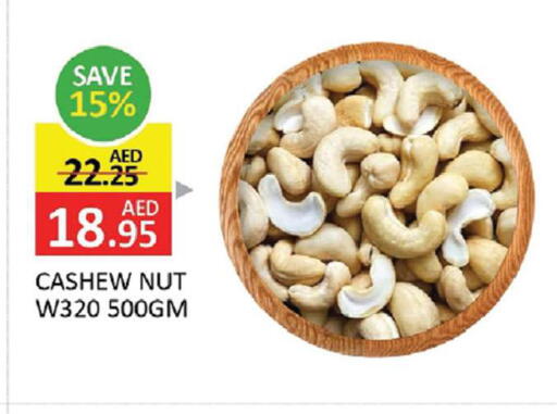 available at المدينة in الإمارات العربية المتحدة , الامارات - الشارقة / عجمان