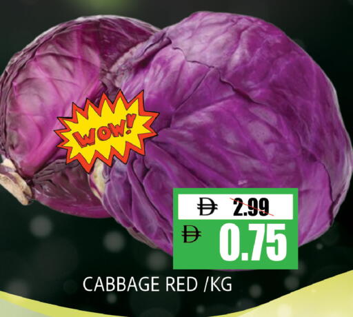 Cabbage available at ليبتس هايبرماركت in الإمارات العربية المتحدة , الامارات - ٱلْعَيْن‎