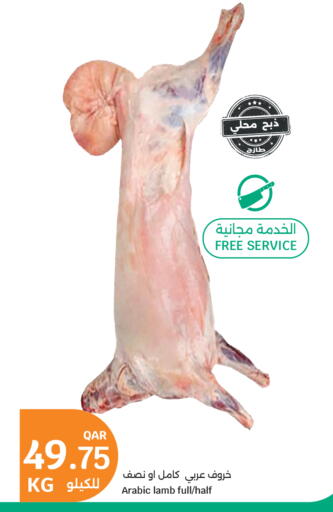 available at سيتي هايبرماركت in قطر - الشمال