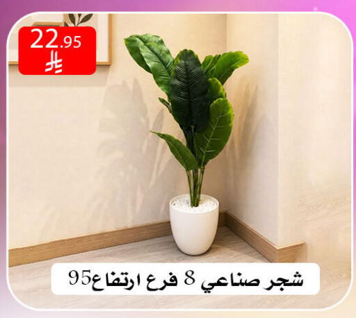available at ركن العائلة in مملكة العربية السعودية, السعودية, سعودية - الرياض