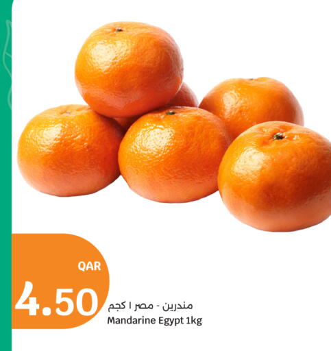 from Egypt available at سيتي هايبرماركت in قطر - الشمال