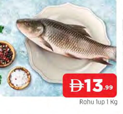 available at المدينة in الإمارات العربية المتحدة , الامارات - الشارقة / عجمان
