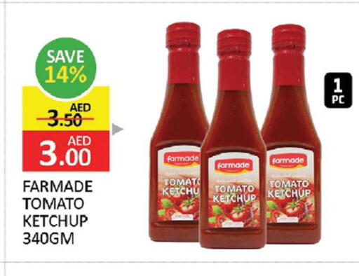Tomato available at المدينة in الإمارات العربية المتحدة , الامارات - الشارقة / عجمان