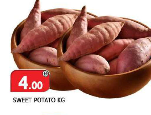 Sweet Potato available at المدينة in الإمارات العربية المتحدة , الامارات - الشارقة / عجمان
