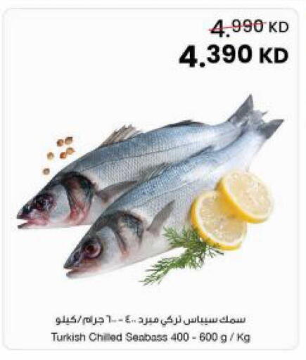 available at مركز سلطان in الكويت - مدينة الكويت