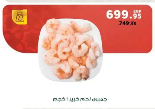 available at بنده in Egypt - القاهرة