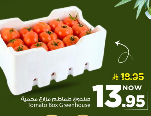 Tomato available at مارك & سيف in مملكة العربية السعودية, السعودية, سعودية - المنطقة الشرقية
