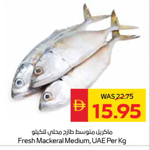 available at سبار هايبرماركت in الإمارات العربية المتحدة , الامارات - رَأْس ٱلْخَيْمَة