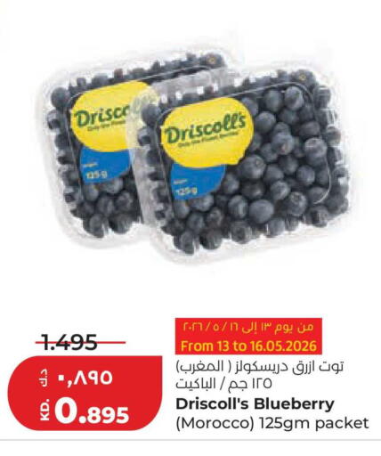 Blueberry BlueBerry from Morocco available at لولو هايبر ماركت in الكويت - محافظة الجهراء