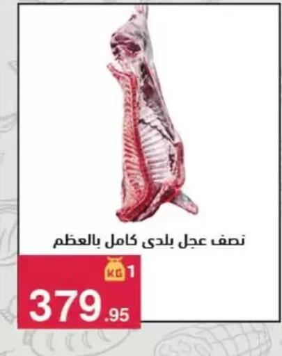available at Mahmoud El Far in Egypt - Cairo