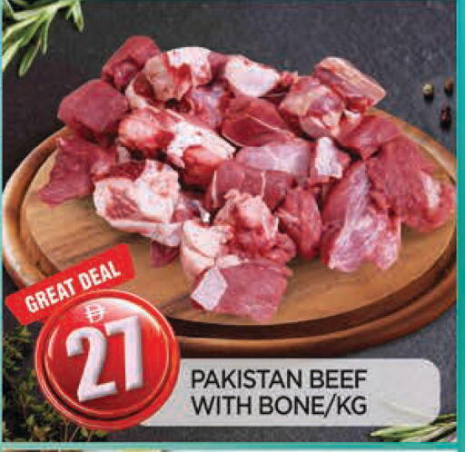 available at المدينة in الإمارات العربية المتحدة , الامارات - الشارقة / عجمان
